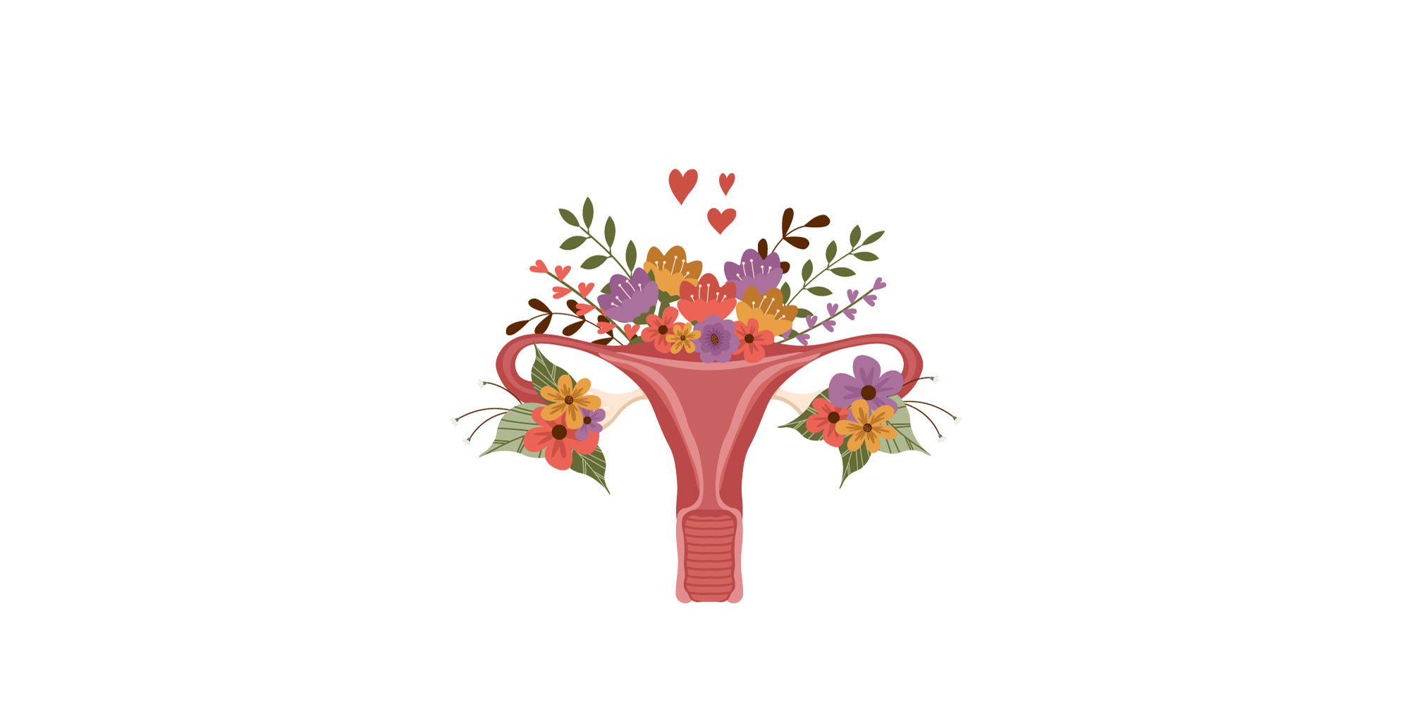 Image of the uterus with flowers coming out of the top and sides