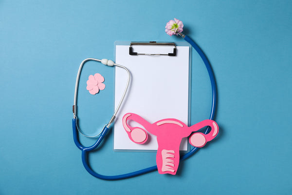 Pink cardboard cut of a female reproductive system, a clipboard with white papers and a stethoscope.